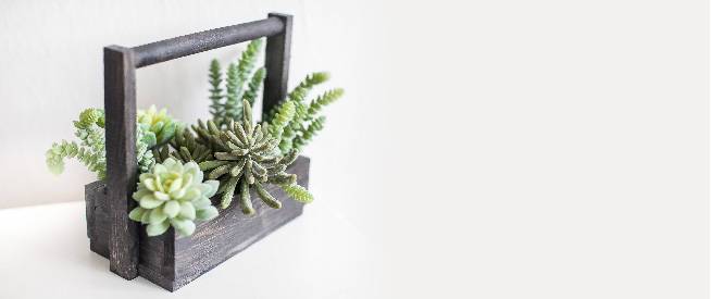 цветы real touch что это. succulents. цветы real touch что это фото. цветы real touch что это-succulents. картинка цветы real touch что это. картинка succulents. Более ста лет производятся искусственные цветы в промышленных масштабах. Большинство искусственных цветов производилось до недавнего времени из различных тканей, и лишь 5 лет назад китайские производители начали использовать современные материалы для производства искусственных цветов нового поколения, которые по всему миру сейчас называются Real Touch.