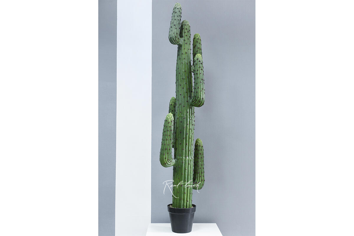 The best artificial cactus collection for interior decoration