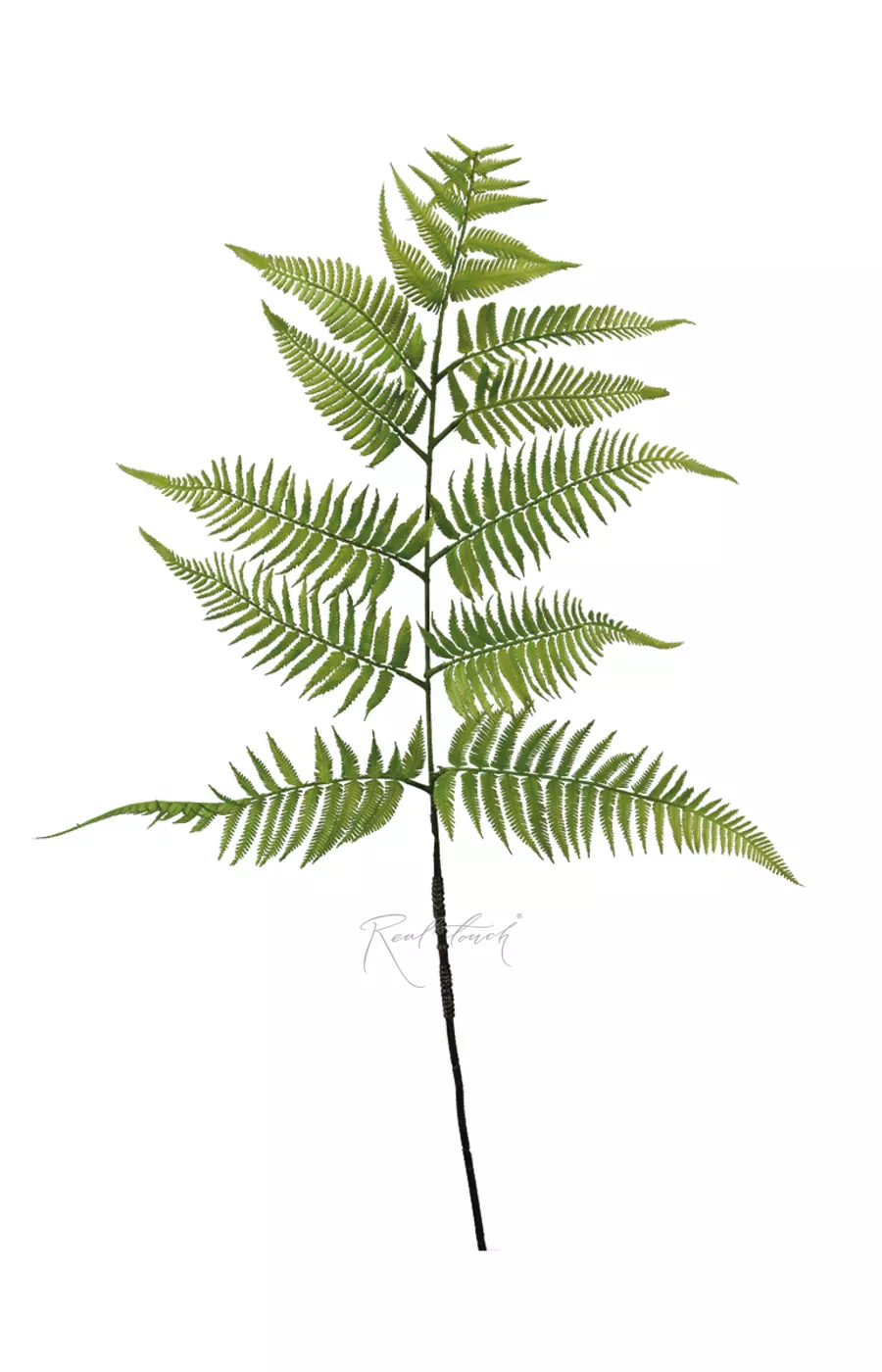 Ветка древовидного папоротника 137см - Зеленый