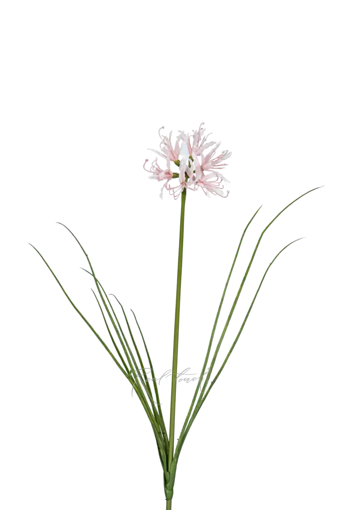 Нерине - Розовый