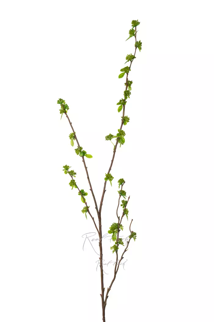 Ветка с молодыми листьями и почками 103см - Зеленый