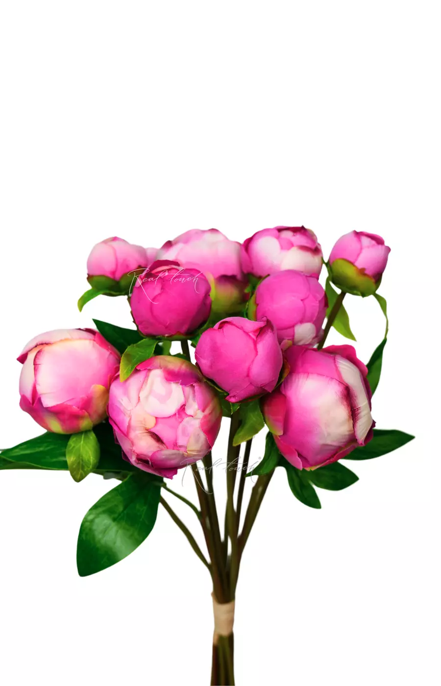 Букет закрытых пионов (9 бутонов) - Темно-розовый Букет закрытых пионов (9 бутонов) - Темно-розовый