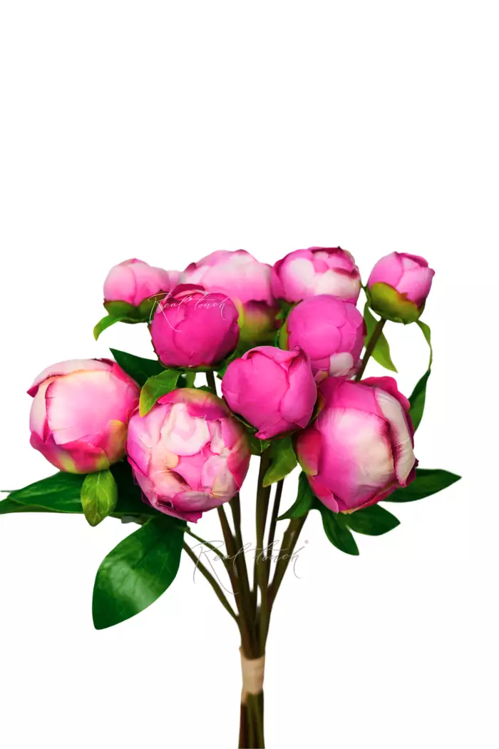 Букет закрытых пионов (9 бутонов)  - Темно-розовый