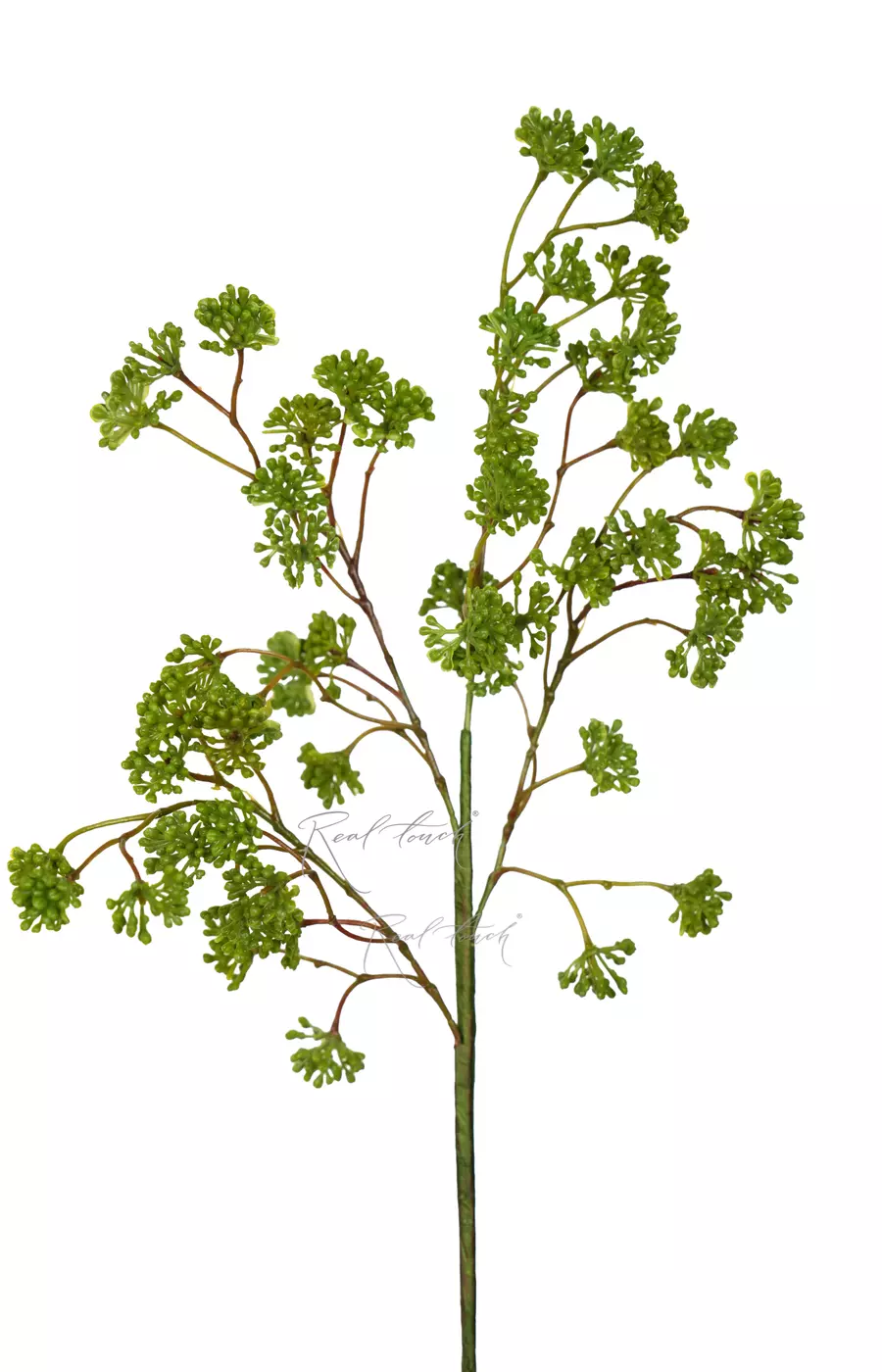 Веточка с мелкими ягодами - Зеленый