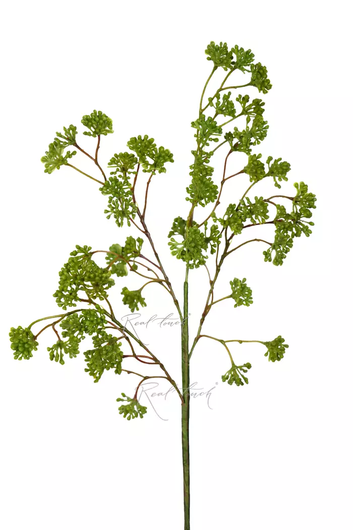 Веточка с мелкими ягодами - Зеленый