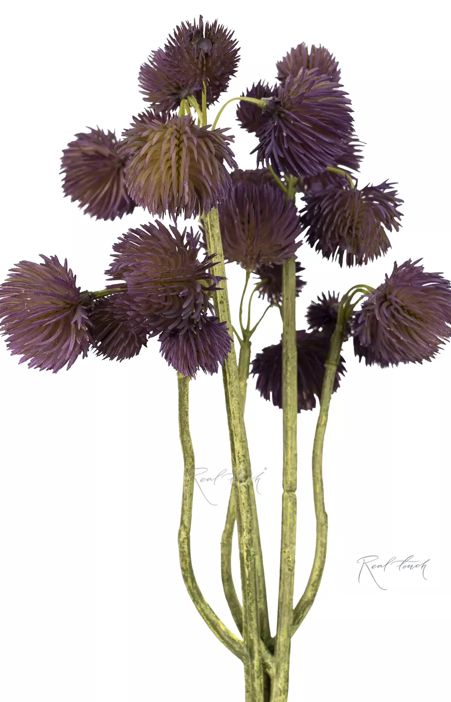 Гомфрена (пучок из 3шт)  - Фиолетовый