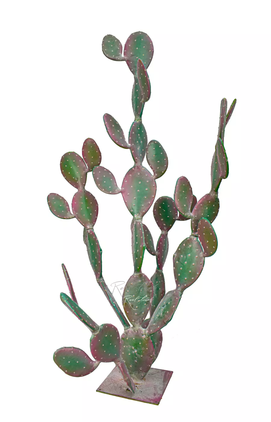 Кактус Опунция гигант 204см - Розовый Кактус Опунция гигант 204см - Розовый