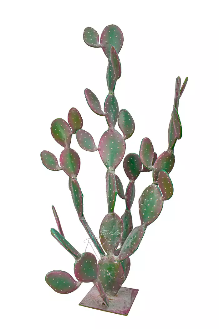 Кактус Опунция гигант 204см - Розовый Кактус Опунция гигант 204см - Розовый