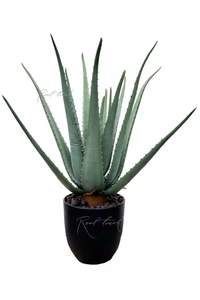 Алоэ в кашпо 50см - Зеленый