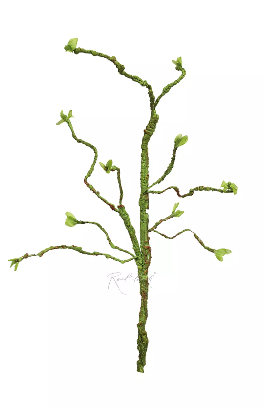 Ветка Real Touch 60 см (с листьями) - Зеленый Ветка Real Touch 60 см (с листьями) - Зеленый