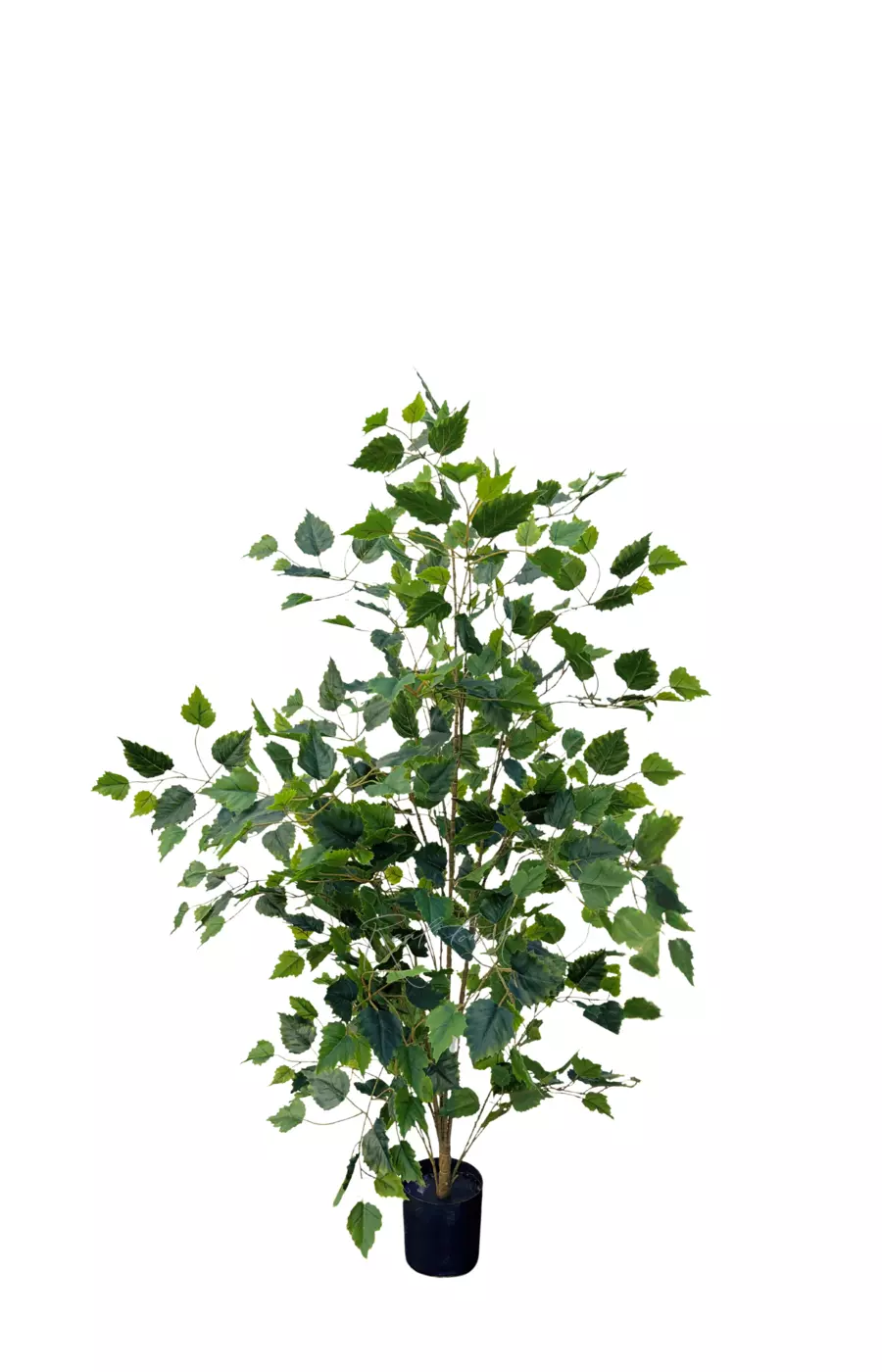 Береза 120см (тёмный ствол) - Зеленый