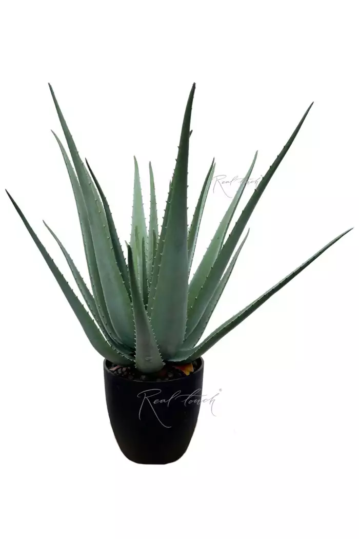 Алоэ в кашпо 65см - Зеленый