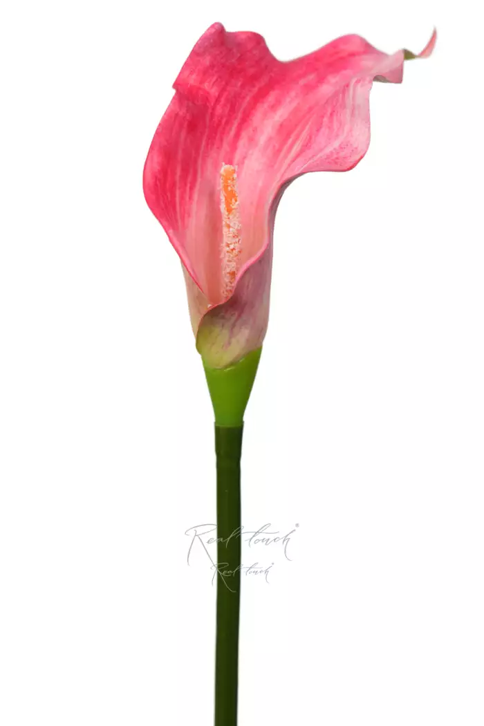 Калла 3D большая - Розовый