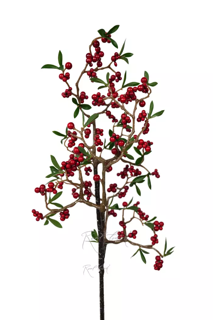 Ветка ягод узкая - Красный