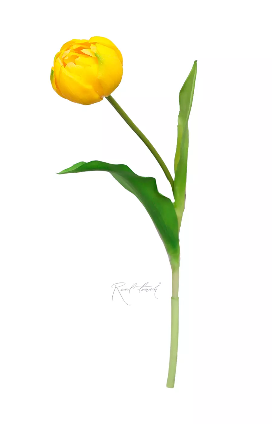 Пионовидный тюльпан - Желтый