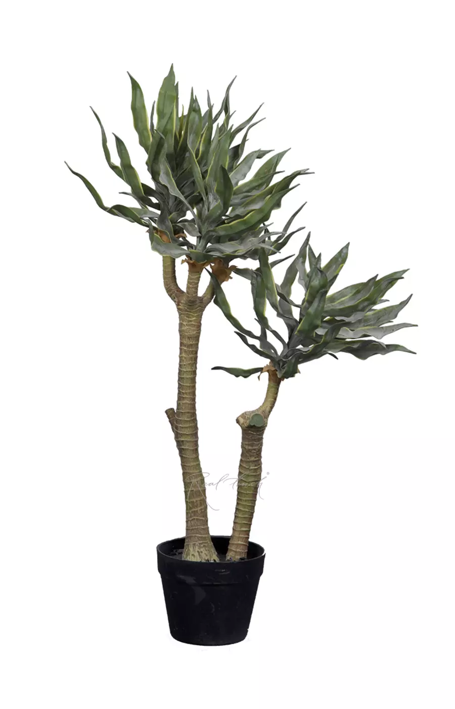 Юкка Слоновая 87см в кашпо - Зеленый Юкка Слоновая 87см в кашпо - Зеленый