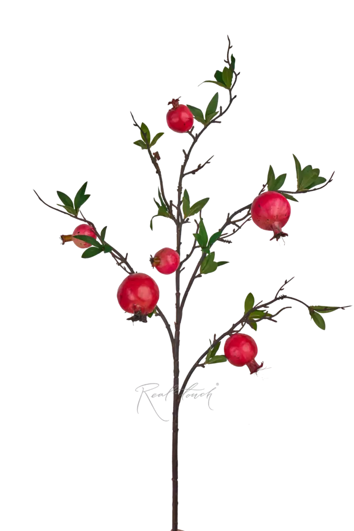 Ветка с гранатами - Красный Ветка с гранатами - Красный