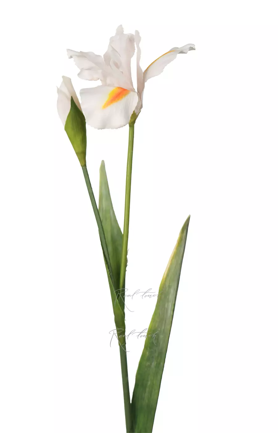 Ирис 77 см - Белый