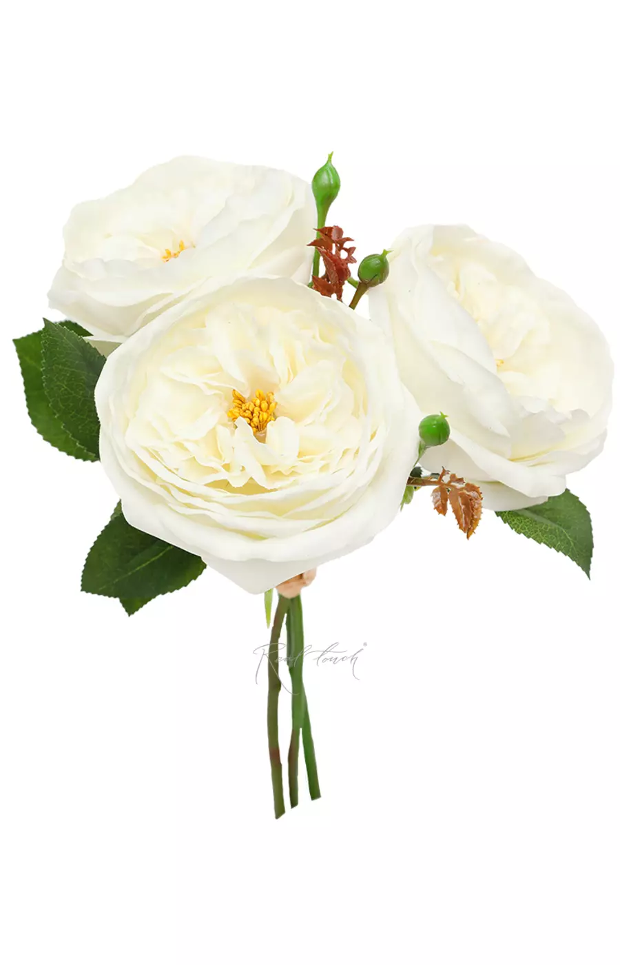 Букет роз Дэвида Остина (3шт. в букете) - Белый