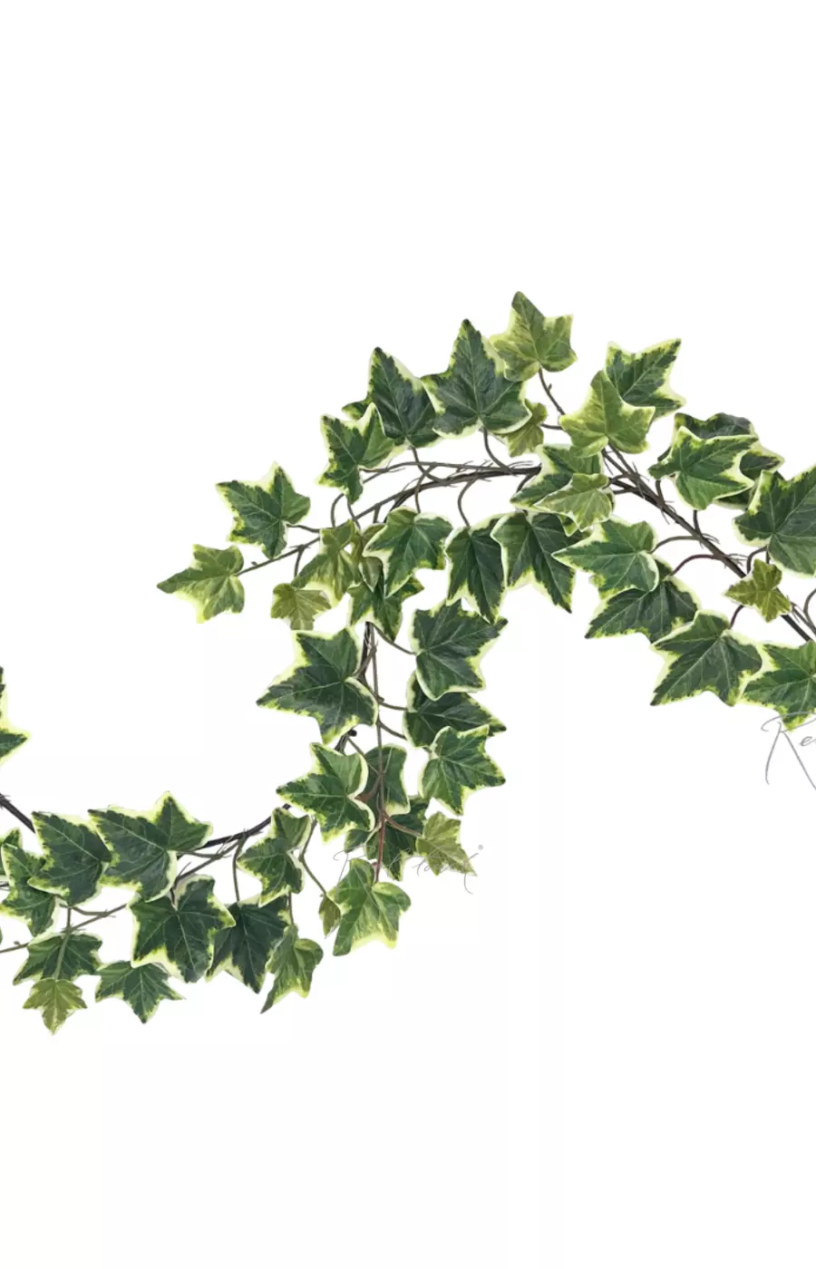 Плющ-лиана 190см - Бело-зеленый Плющ-лиана 190см - Бело-зеленый