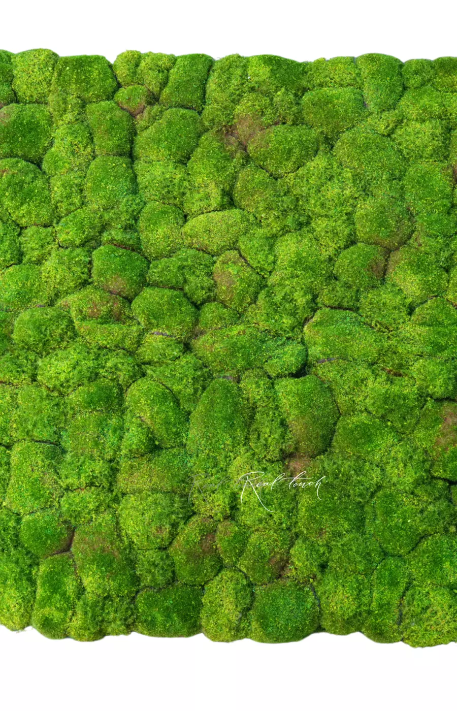 Коврик мха с кочками 100*100см (вид 2) - Зеленый