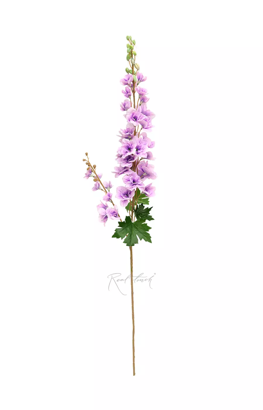 Дельфиниум с 2 ветками - Бело-фиолетовый