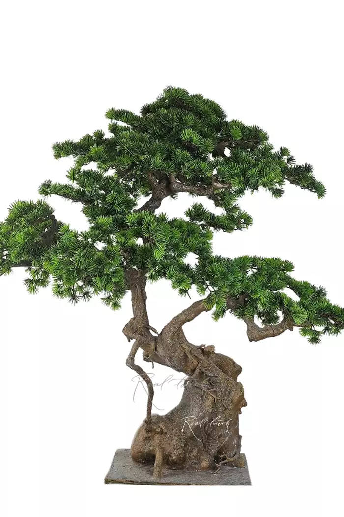 Бонсай в. 110 см/ ш. 130 см - Зеленый Бонсай в. 110 см/ ш. 130 см - Зеленый