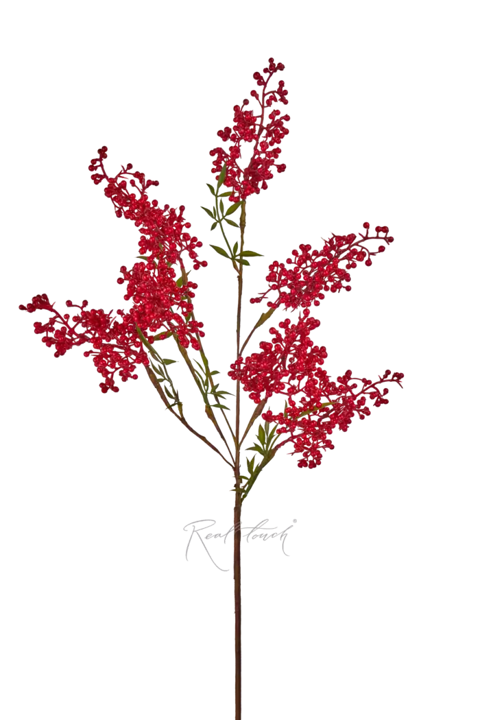 Нандина ветка - Красный