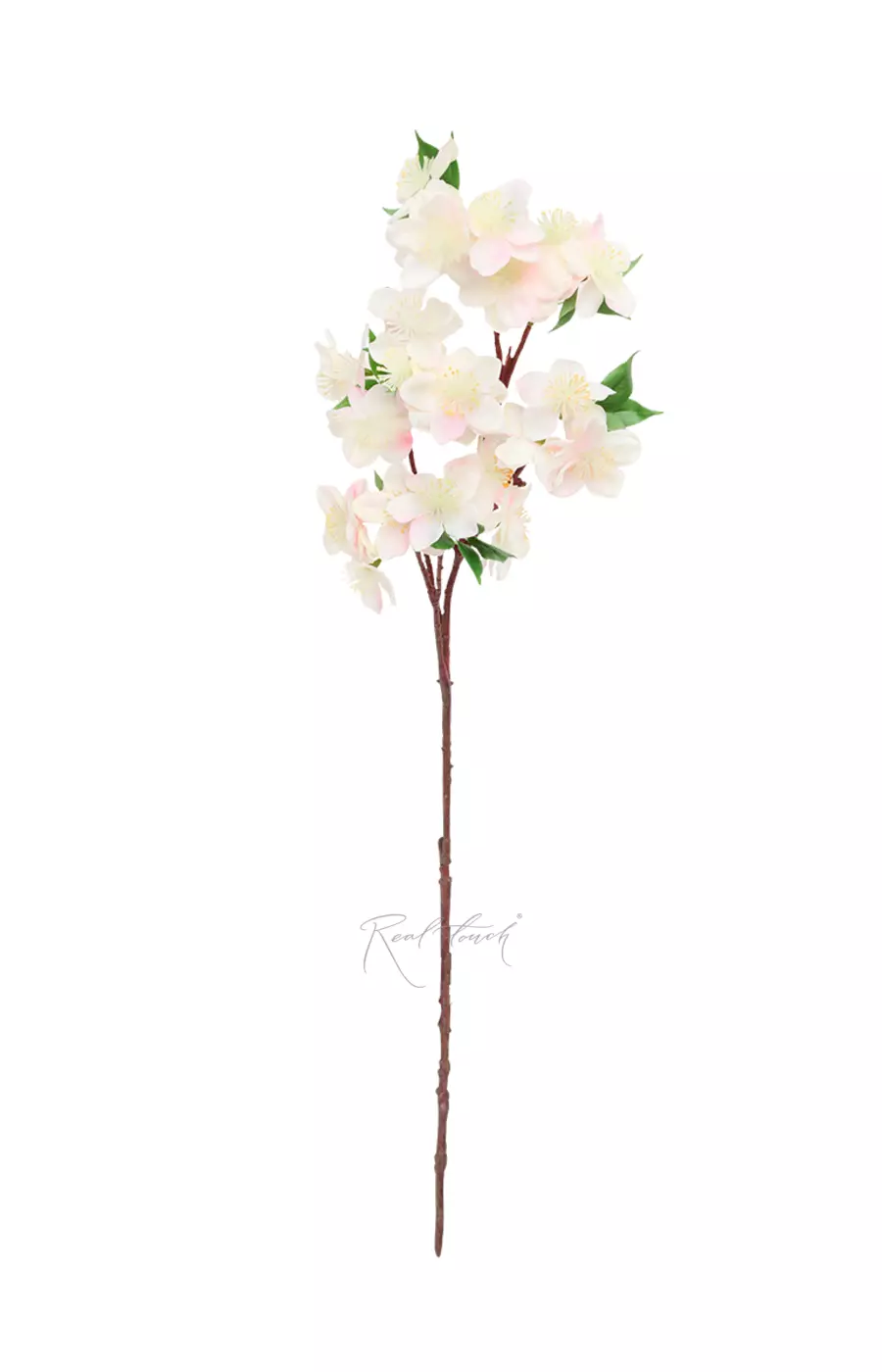 Ветка яблони - Бело-розовый