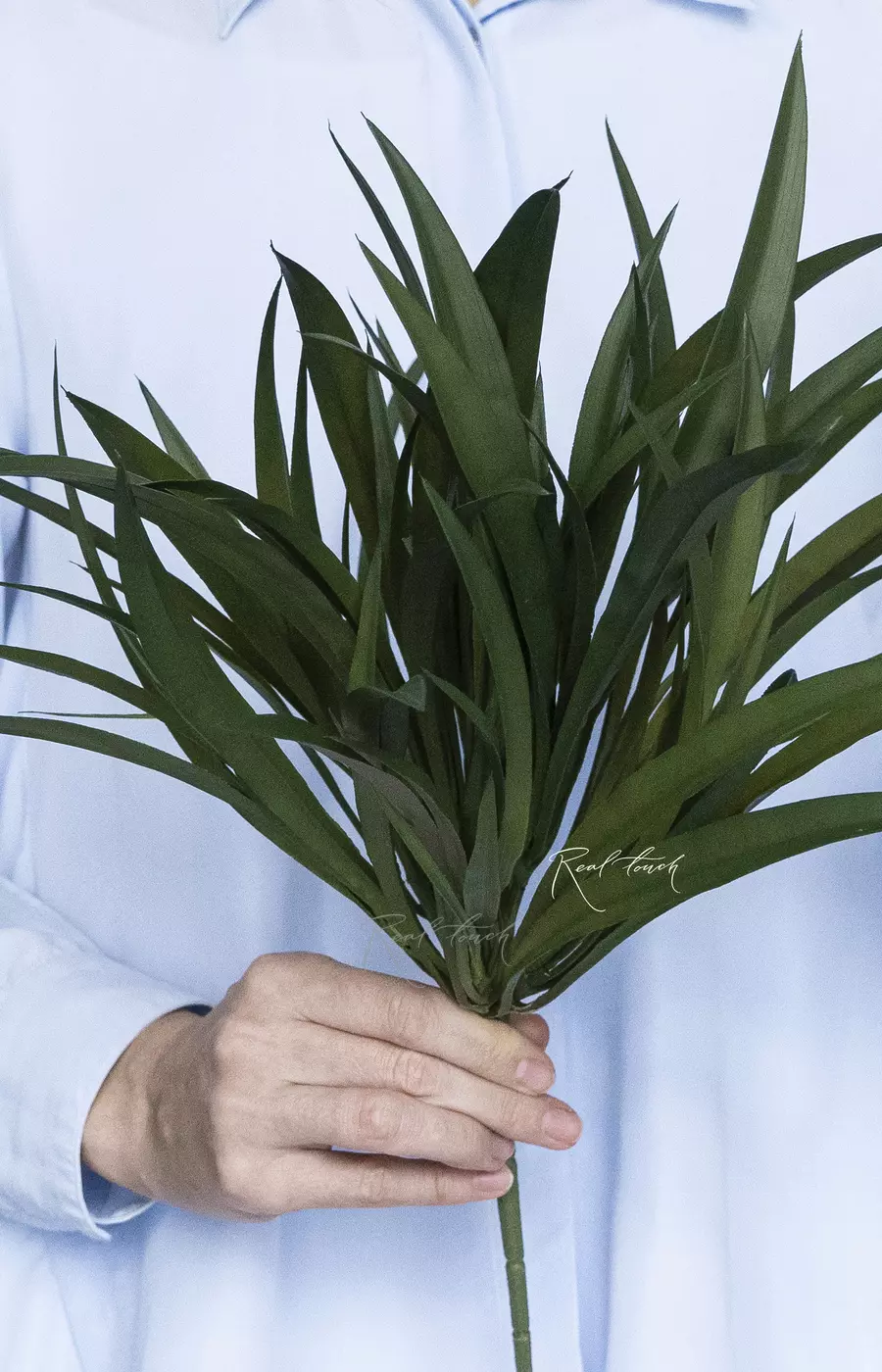 Трава пышная - Темно-зеленый