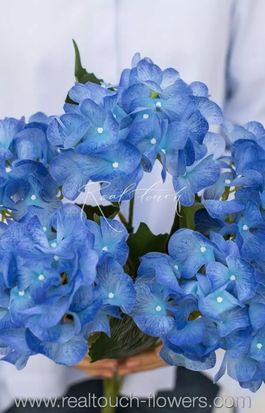 Гортензия кустовая 5 соцветий - Синий