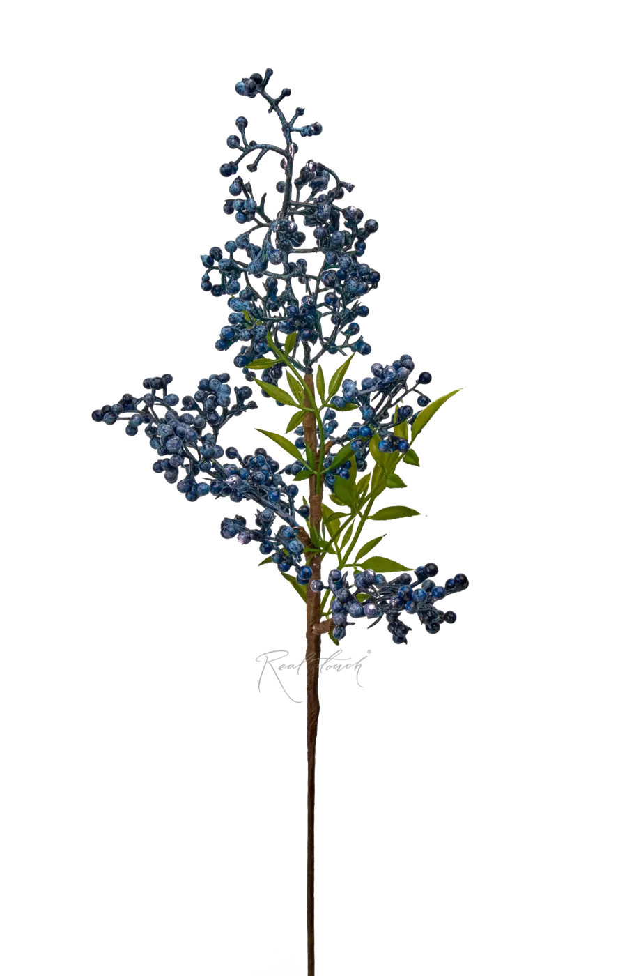 Илекс ветка малая - Синий Илекс ветка малая - Синий