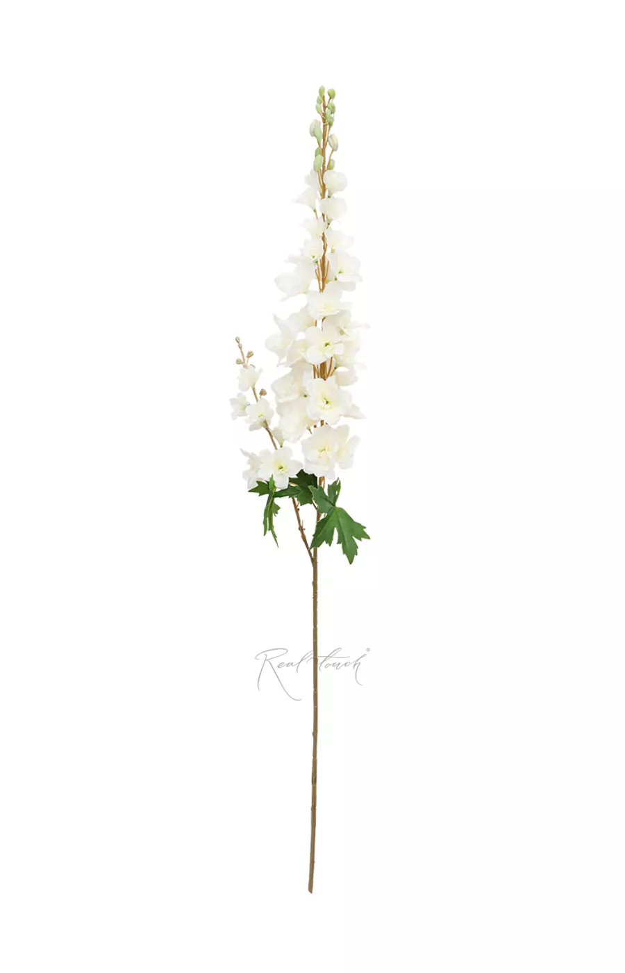 Дельфиниум с 2 ветками - Кремовый