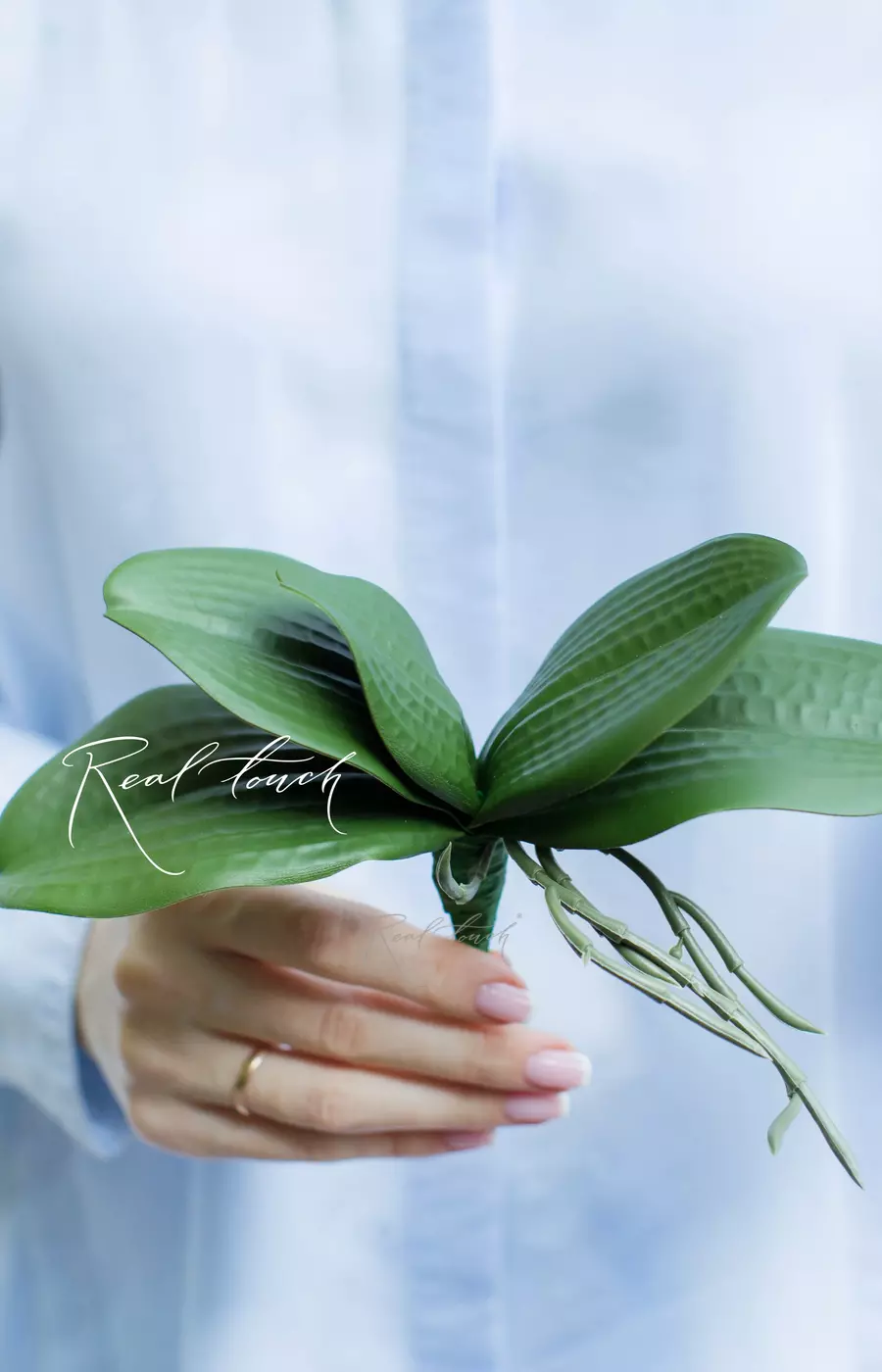 Листья Орхидеи малый 20см - Зеленый