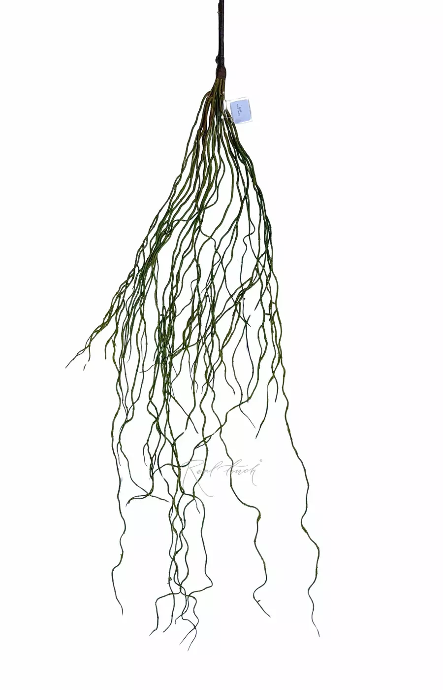 Корни - Зеленый