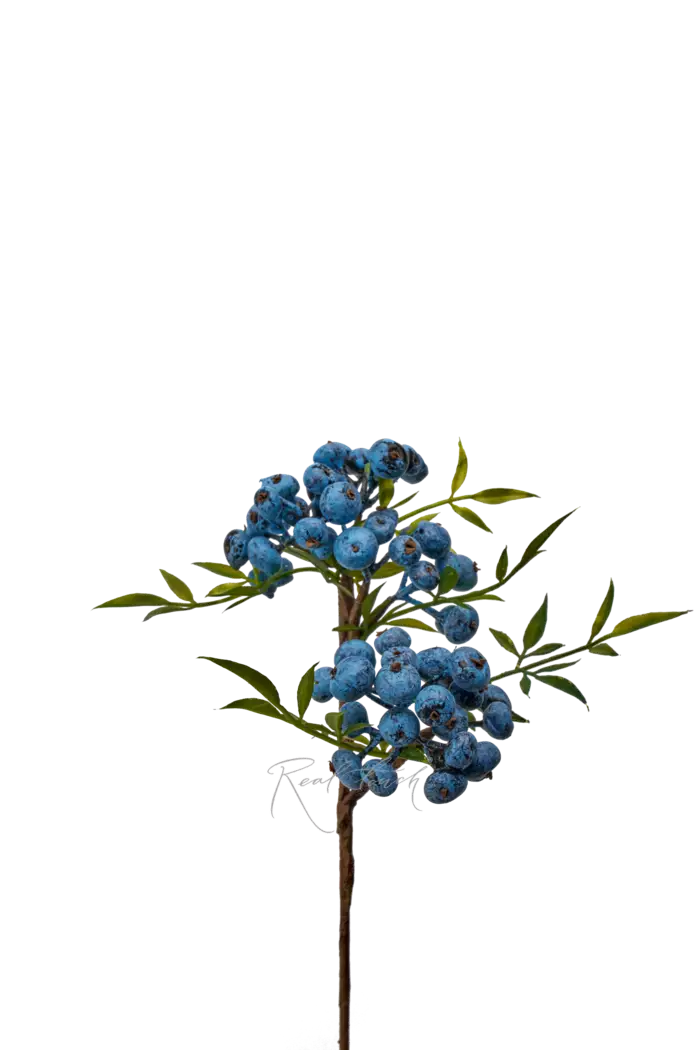 Снежноягодник малый - Синий