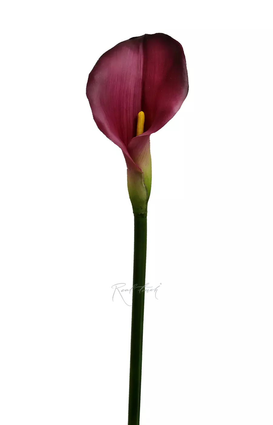 Калла Премиум (49) - Фиолетовый (уценён)