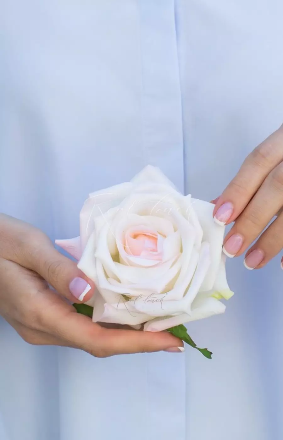 Соцветие розы Открытой - Бело-розовый