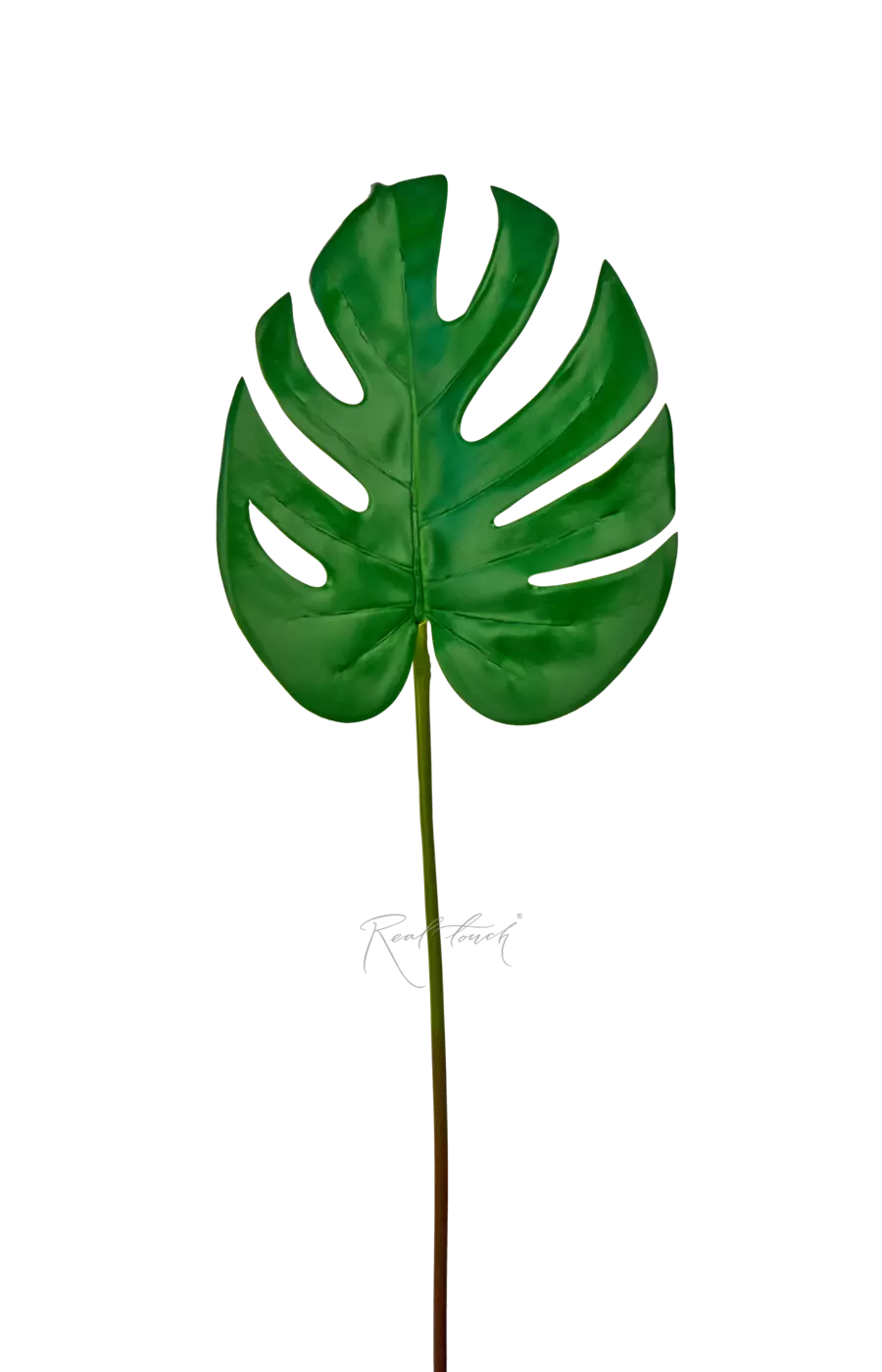 Лист монстеры 3D малый - Зеленый