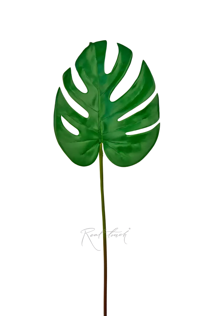 Лист монстеры 3D малый - Зеленый