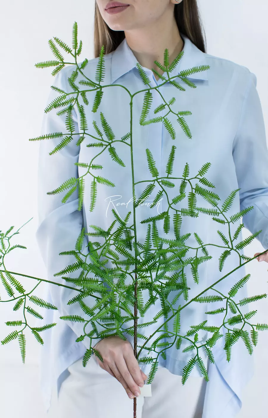 Ветка Дикраноптериса линейного малый лист - Зеленый Ветка Дикраноптериса линейного малый лист - Зеленый