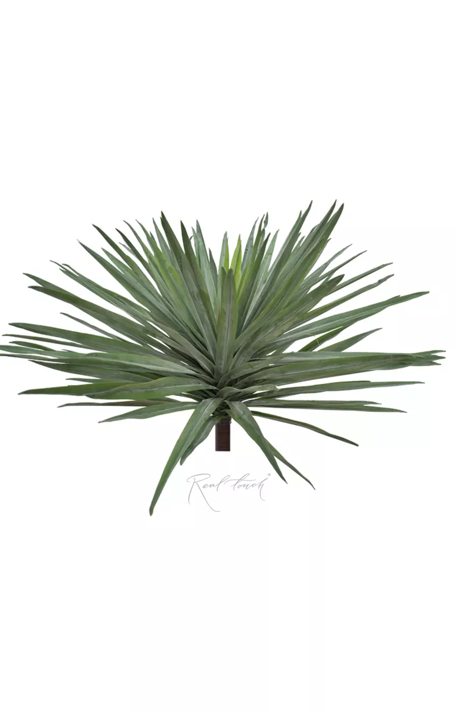 Юкка Садовая большая без кашпо - Зеленый