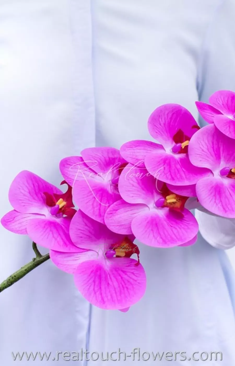 Орхидея 9 соцветий HQ - Фуксия