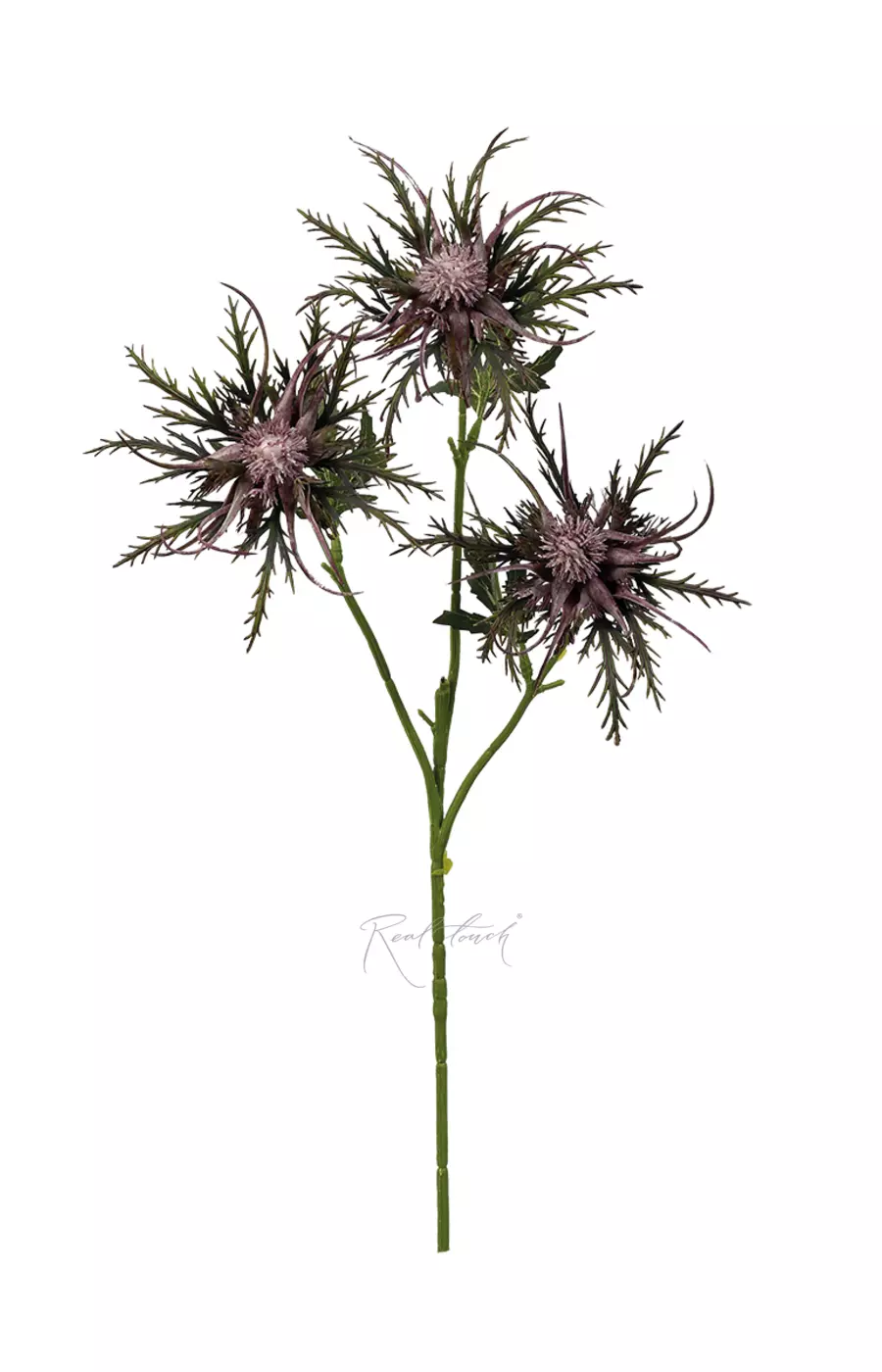 Чертополох - Фиолетовый