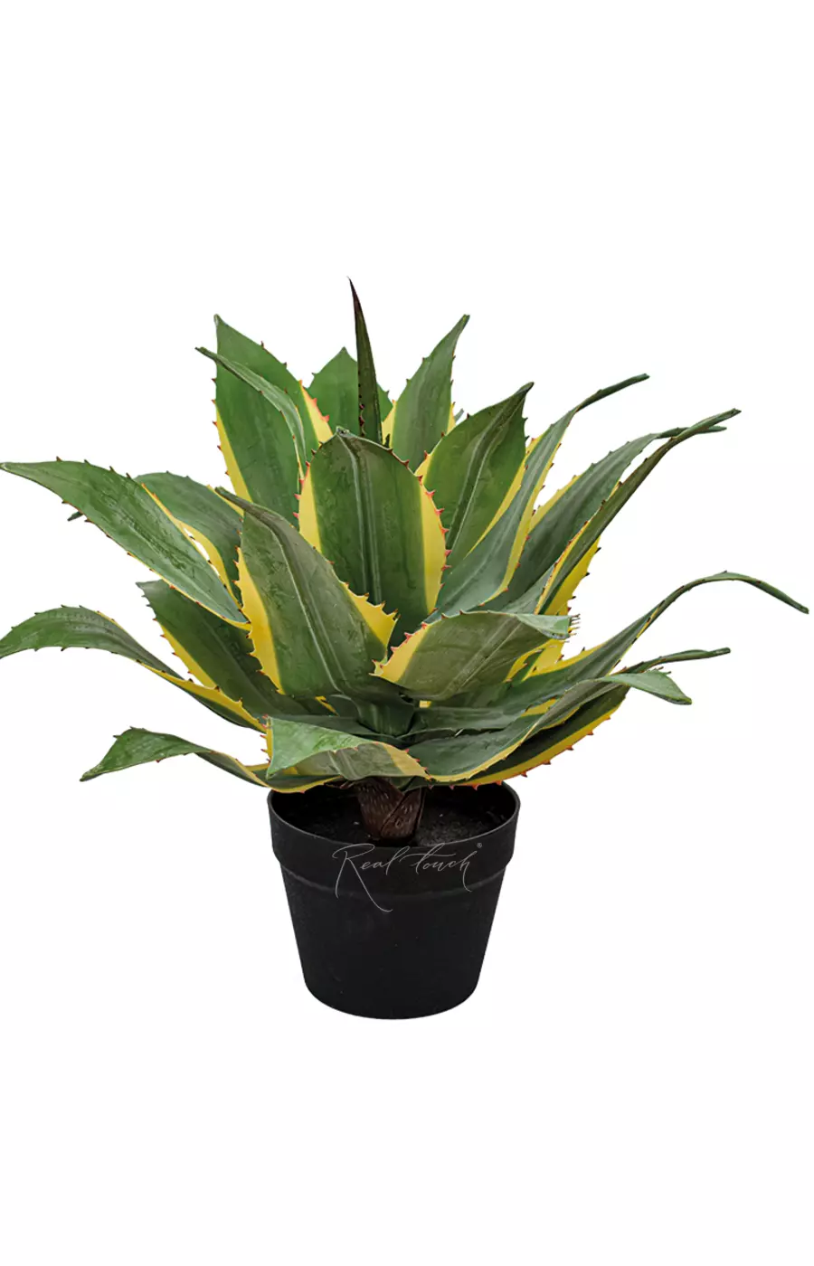 Юкка Ивори Тауэр малая в кашпо - Зеленый