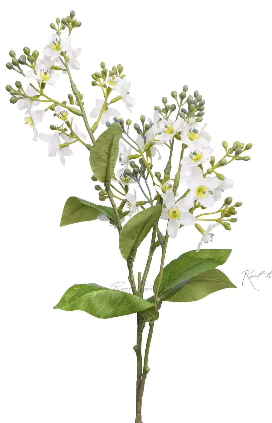 Твидия - Белый Твидия - Белый