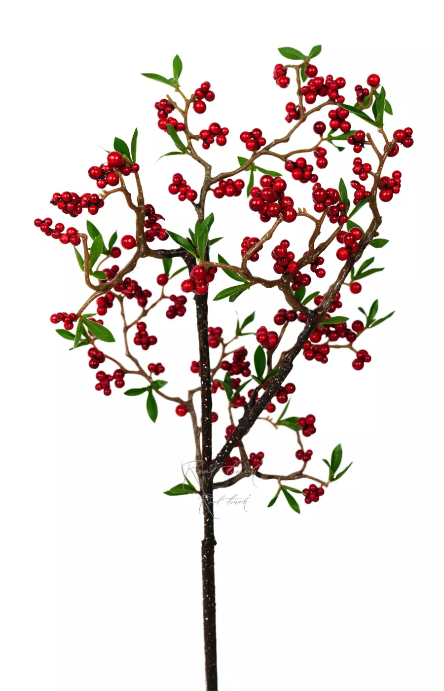 Ветка ягод широкая - Красный