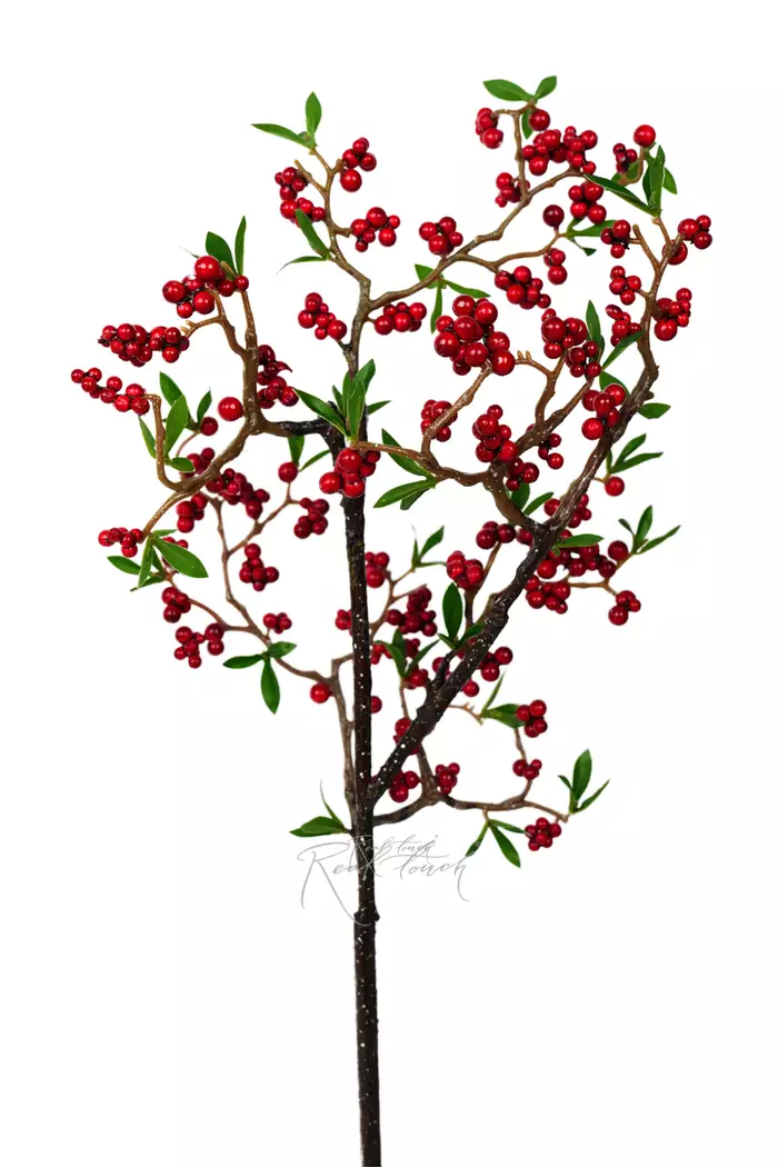 Ветка ягод широкая - Красный