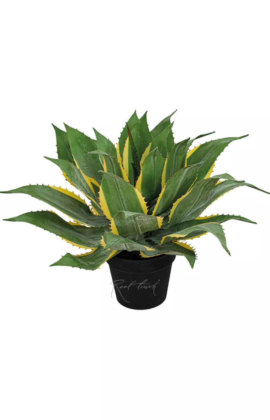 Юкка Ивори Тауэр средняя в кашпо - Зеленый