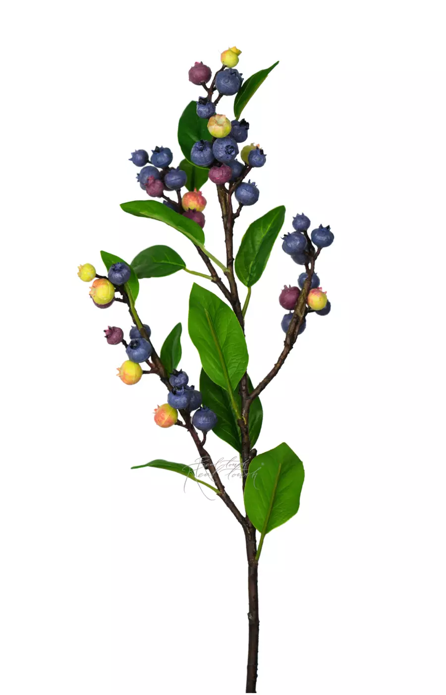 Ветка Голубики - Фиолетовый